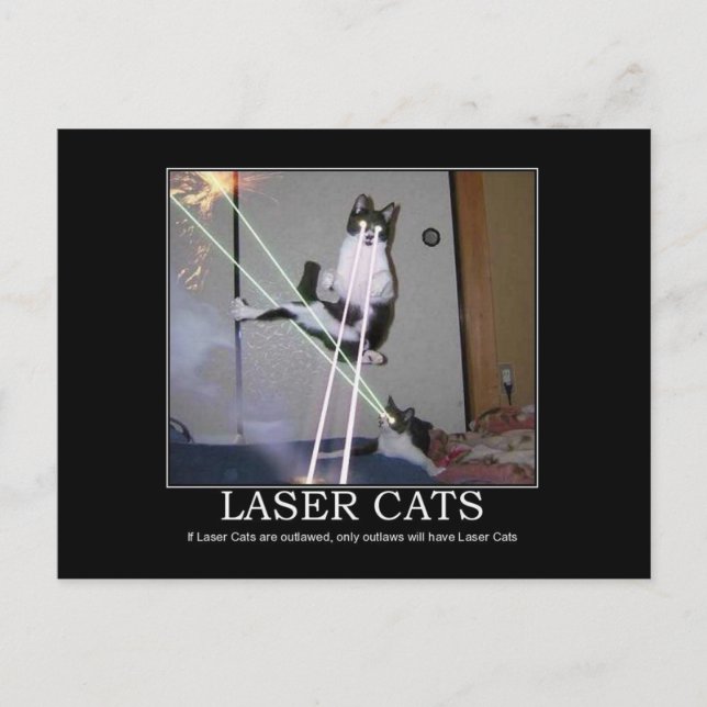 Laser Cats Postcard (Front)