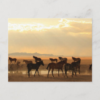 Last Call Postcard