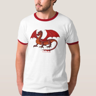 Last Dragon cool graphic art t-shirt design