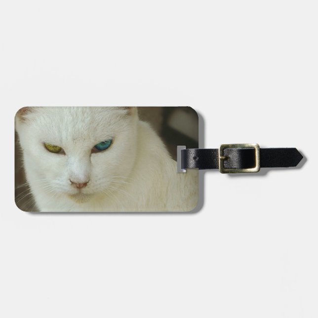 Last Hope's Icicle Luggage Tag (Front Horizontal)