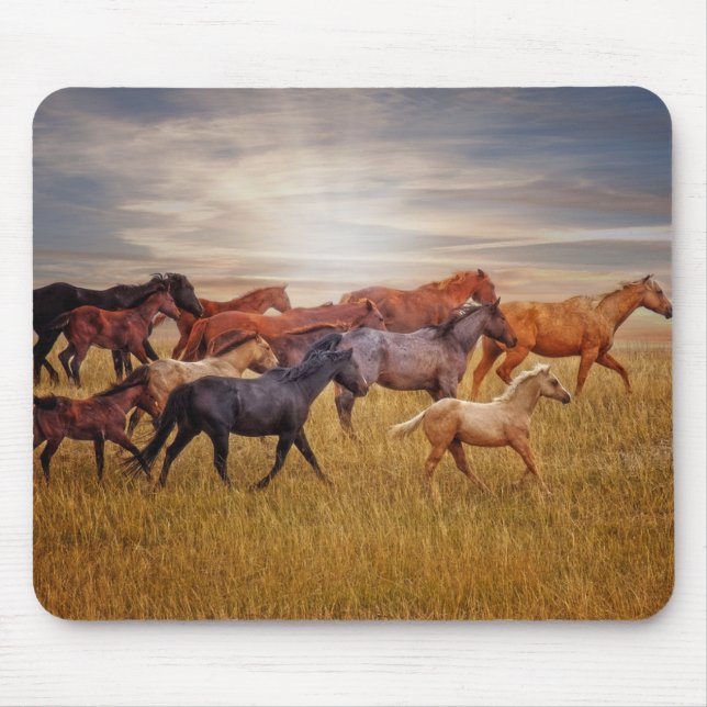 Last Light's Run Mousepad (Front)