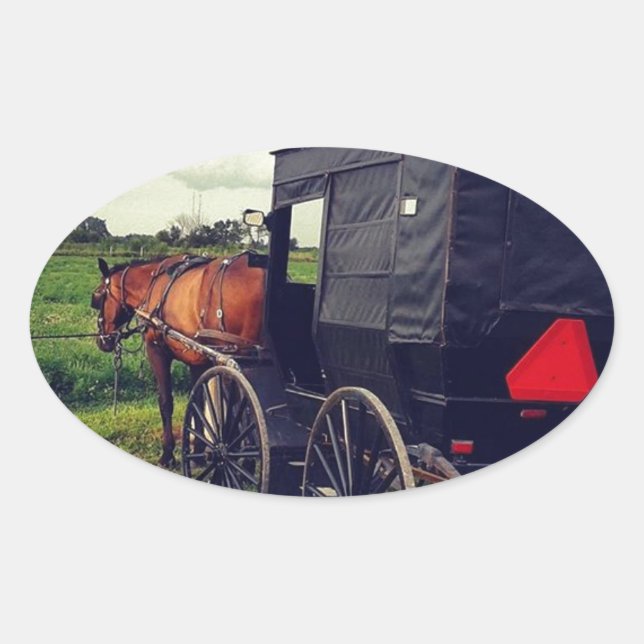 Last Night in an Amish community, Amish Horse Oval Sticker (Front)