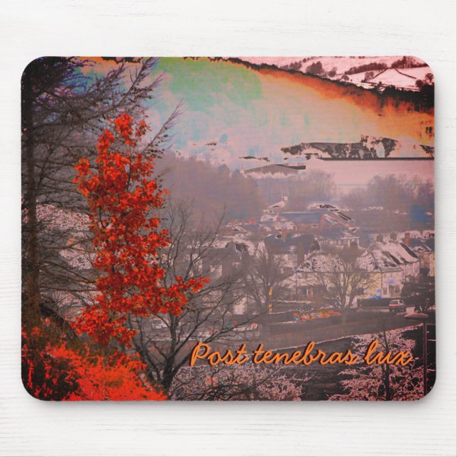 Last of the Autumn Leaves in Newtown, Powys Mouse Pad (Front)