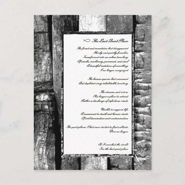 Last Quiet Place Postcard (Front)