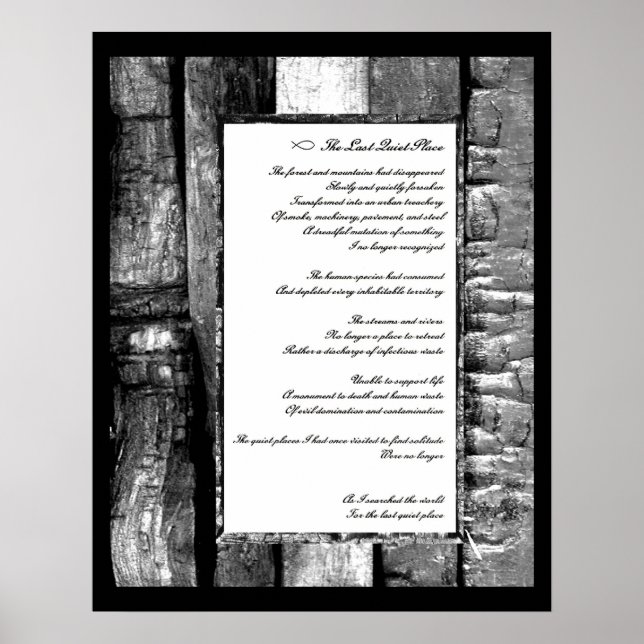 Last Quiet Place Poster (Front)