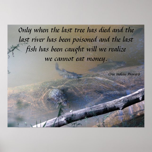 Last River and Fish Poster (Front)
