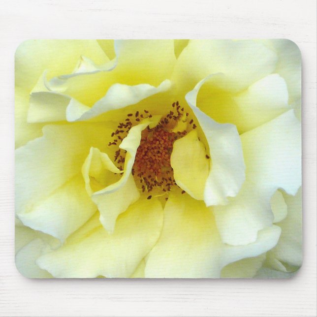 Last Rose of Summer Mouse Pad (Front)