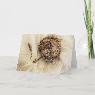 "Last Year" Old Dried Sunflower Head on Fabric Card