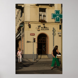 Late Afternoon in Vinohrady, Prague Poster