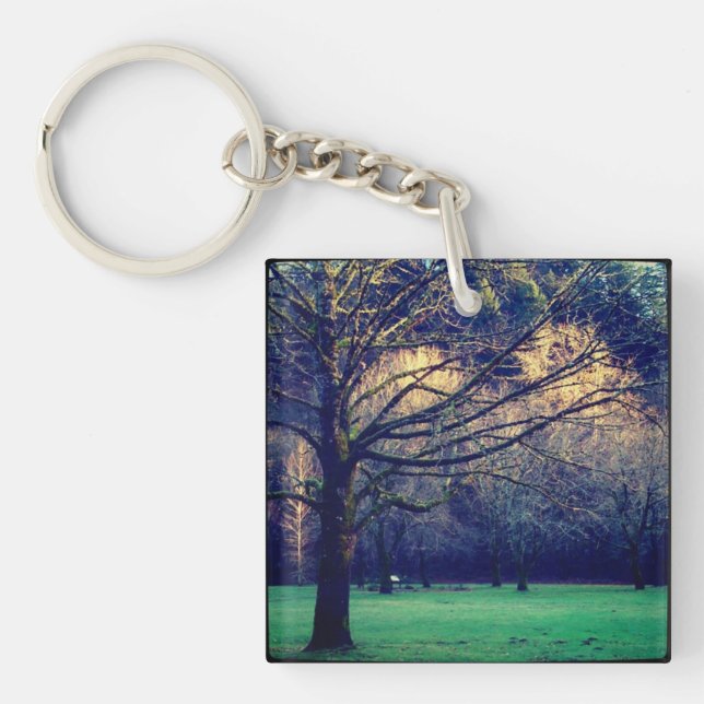 Late Autumn at Oxbow Regional Park Key Ring (Front)