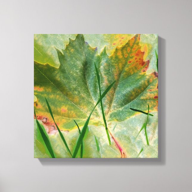 Late autumn canvas print (Front)