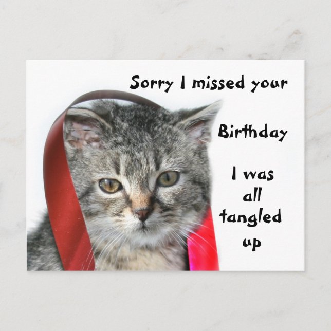 Late Birthday kitten Postcard (Front)