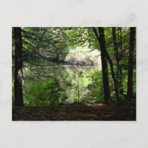 Late Summer at Walden Pond Postcard