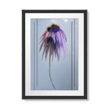 “Late Summer Cone Flower” 16 x24” Matted &