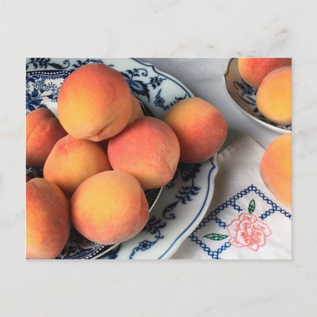 Late Summer Peaches Postcard (Front)