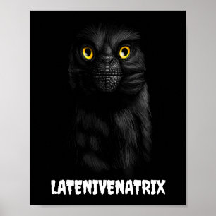 Latenivenatrix Troodon Stenonychosaurus Poster