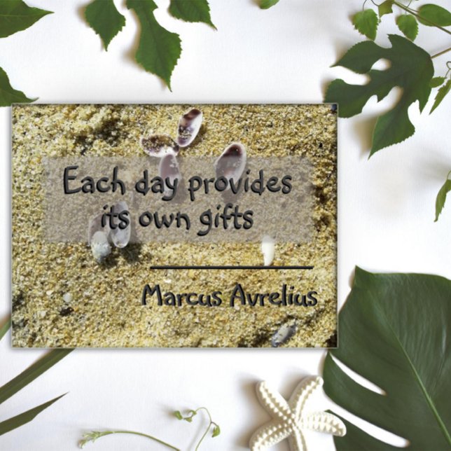 Latin quote Each day provides its gift poster (Creator Uploaded)
