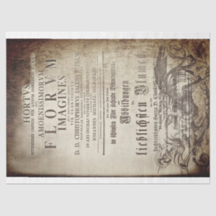 Latin scrollwork tissue paper
