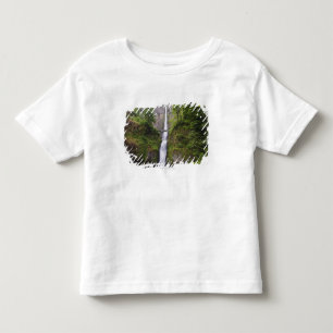Latourell Falls & Bridge Columbia River Gorge Toddler T-Shirt