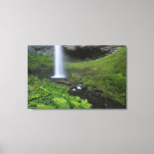 Latourell Falls, Columbia River Gorge, Oregon, Canvas Print