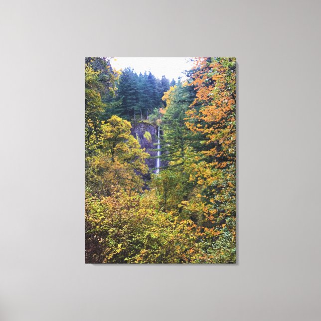 Latourell Falls, Columbia River Gorge, Oregon Canvas Print (Front)