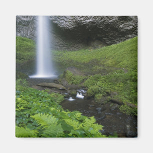 Latourell Falls, Columbia River Gorge, Oregon, Magnet