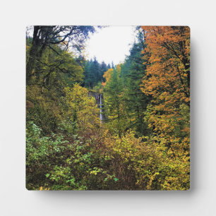 Latourell Falls, Columbia River Gorge, Oregon Plaque