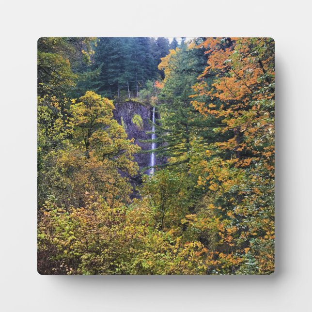 Latourell Falls, Columbia River Gorge, Oregon Plaque (Front)
