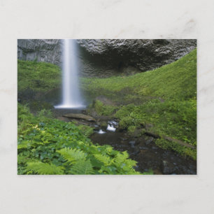 Latourell Falls, Columbia River Gorge, Oregon, Postcard