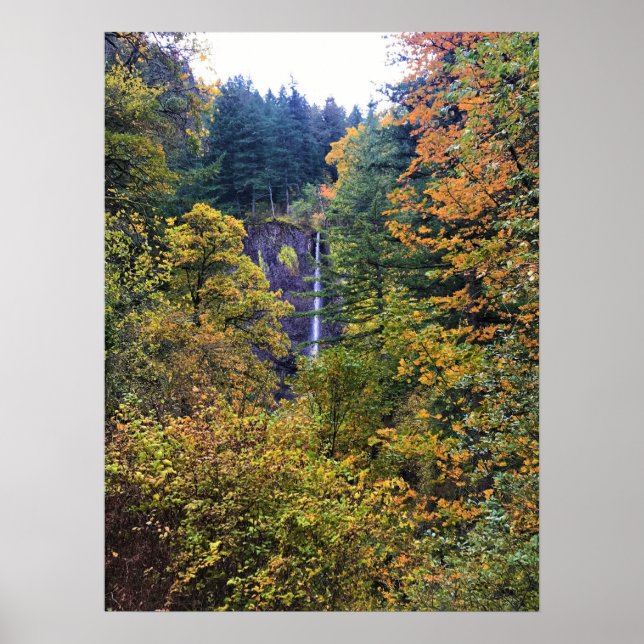 Latourell Falls, Columbia River Gorge, Oregon Poster (Front)