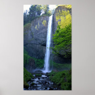 Latourell Falls, OR Poster