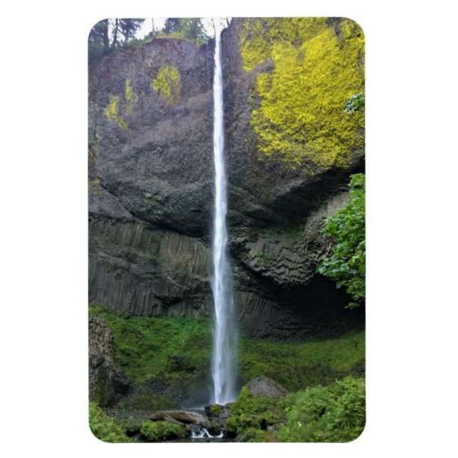 Latourell Falls, Oregon Magnet (Vertical)