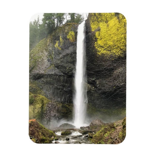 Latourell Falls, Oregon Magnet (Vertical)