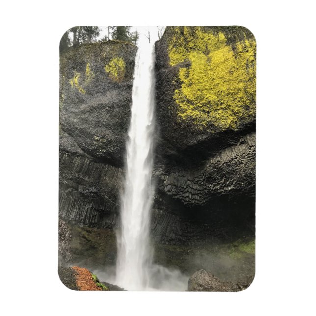 Latourell Falls, Oregon Magnet (Vertical)