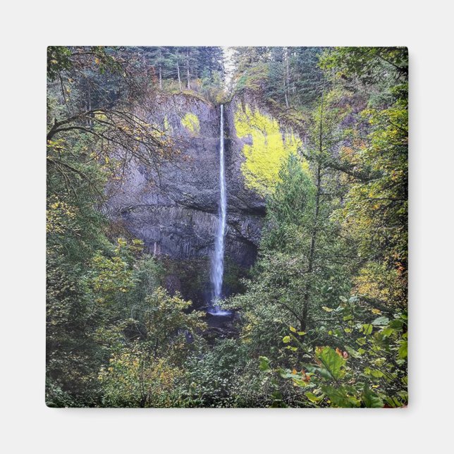 Latourell Falls, Oregon Magnet (Front)