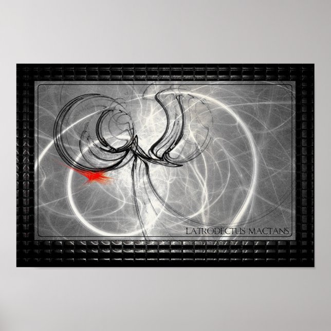 Latrodectus Mactans Poster (Front)