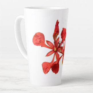 Latte Mug Royal Poinciana Flower