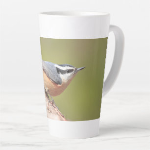 latte mug with picture of red breasted nuthatch 