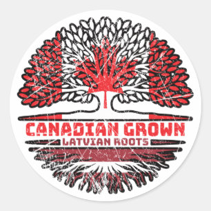 Latvia Latvian Canadian Canada Tree Roots Flag Classic Round Sticker