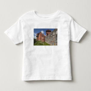 Latvia, Northeastern Latvia, Vidzeme Region, 2 Toddler T-Shirt