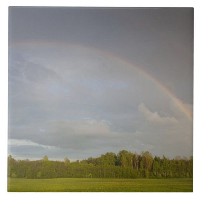 Latvia, Northeastern Latvia, Vidzeme Region, 5 Tile (Front)