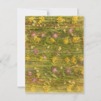 Latvian Wildflowers – Nature Preserved Postcard