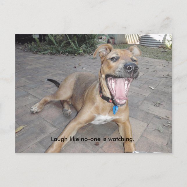 Laugh like no one is watching postcard (Front)