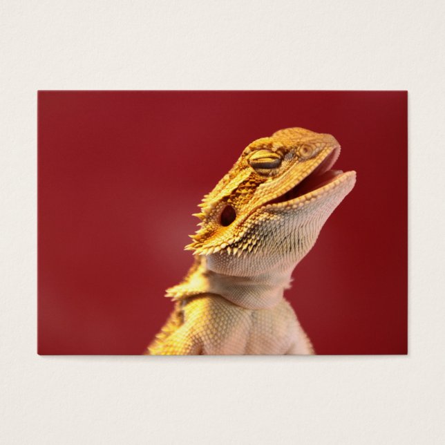 Laughing Bearded Dragon (Front)