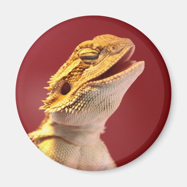 Laughing Bearded Dragon Magnet (Front)