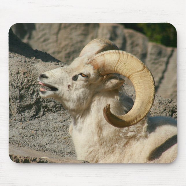 Laughing Bighorn Sheep Mouse Pad (Front)