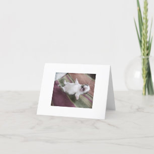 Laughing Bulldog Puppy Card