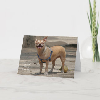 Laughing Chihuahua Birthday Card