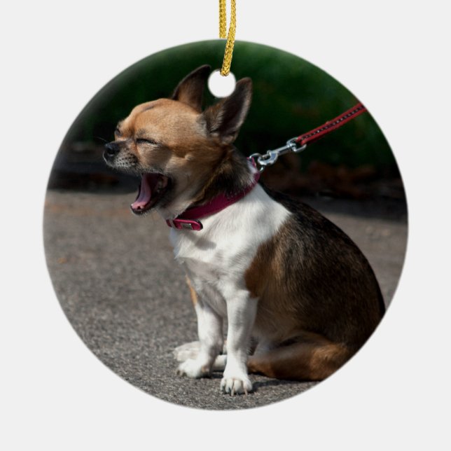 Laughing Chihuahua Ceramic Tree Decoration (Front)