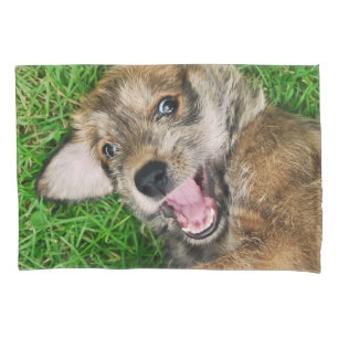 Laughing Dog Berger Picard Puppy Funny Pillowcover Pillowcase